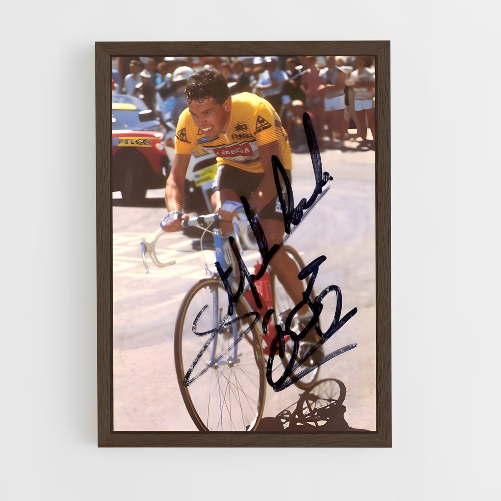 ap-stephen roche-1 cadre Bois foncé