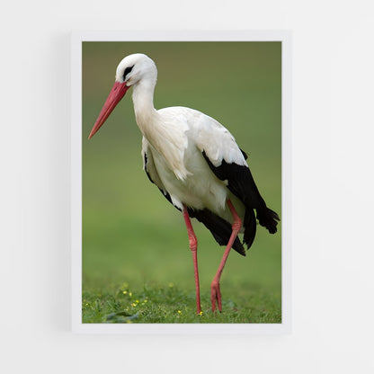 ap-stork-1 cadre Blanc