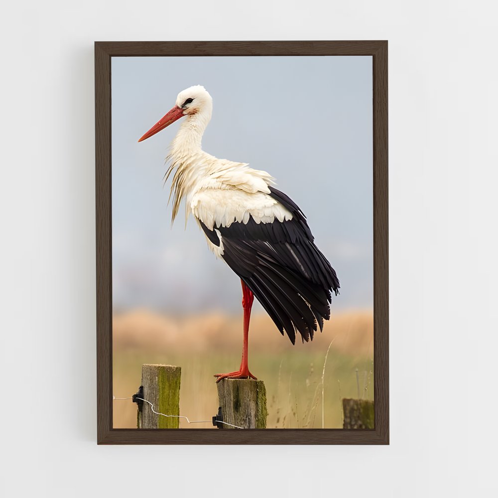 ap-stork-2 cadre Bois foncé
