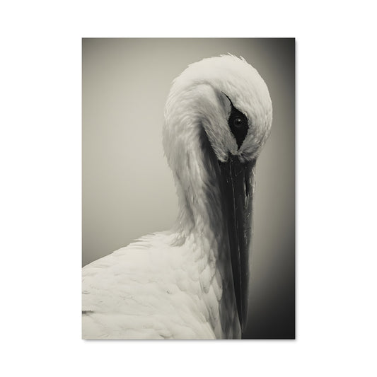 Poster L'Élégance de la Cigogne