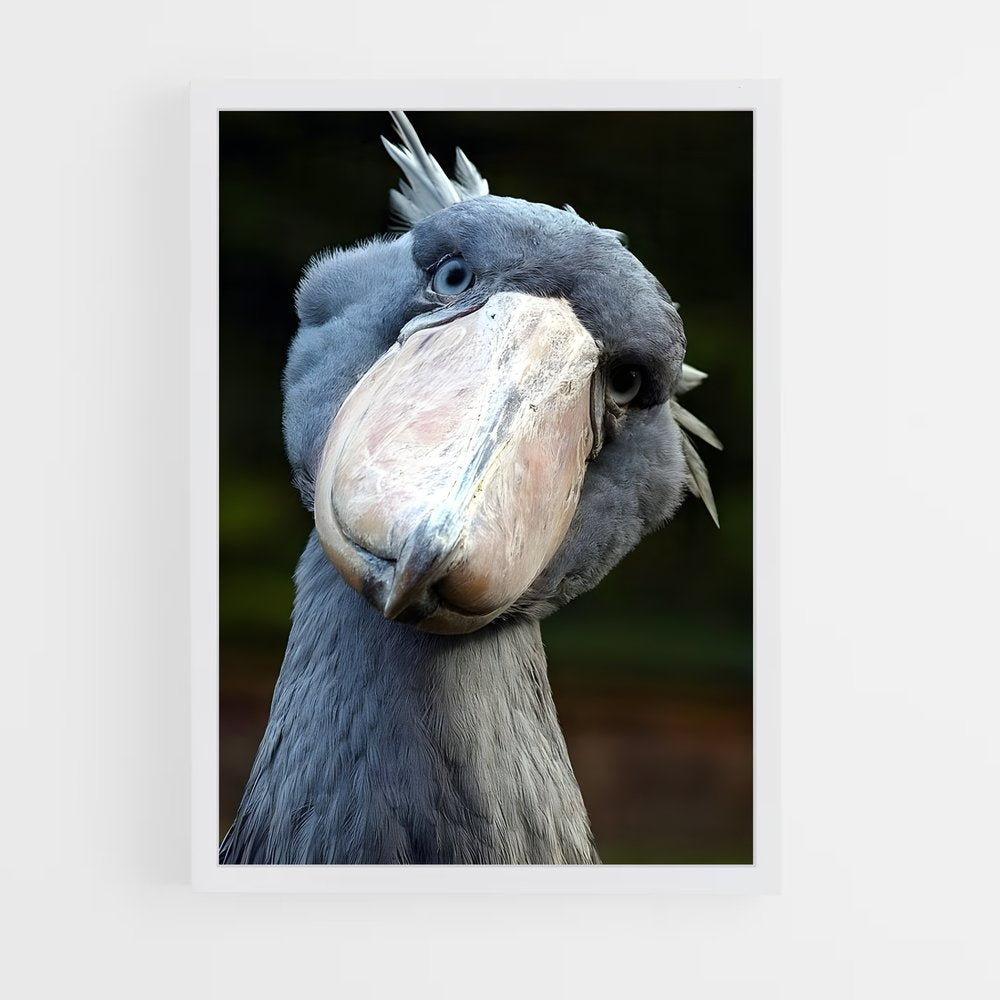 ap-stork-5 cadre Blanc