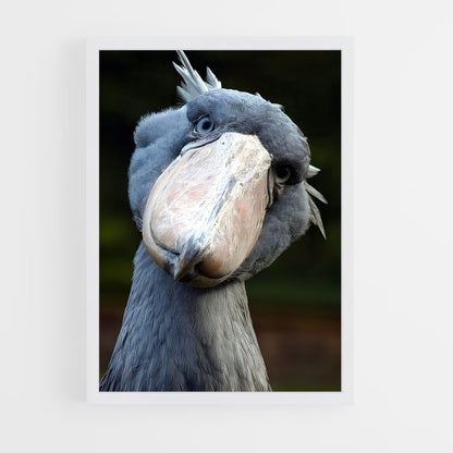 ap-stork-5 cadre Blanc