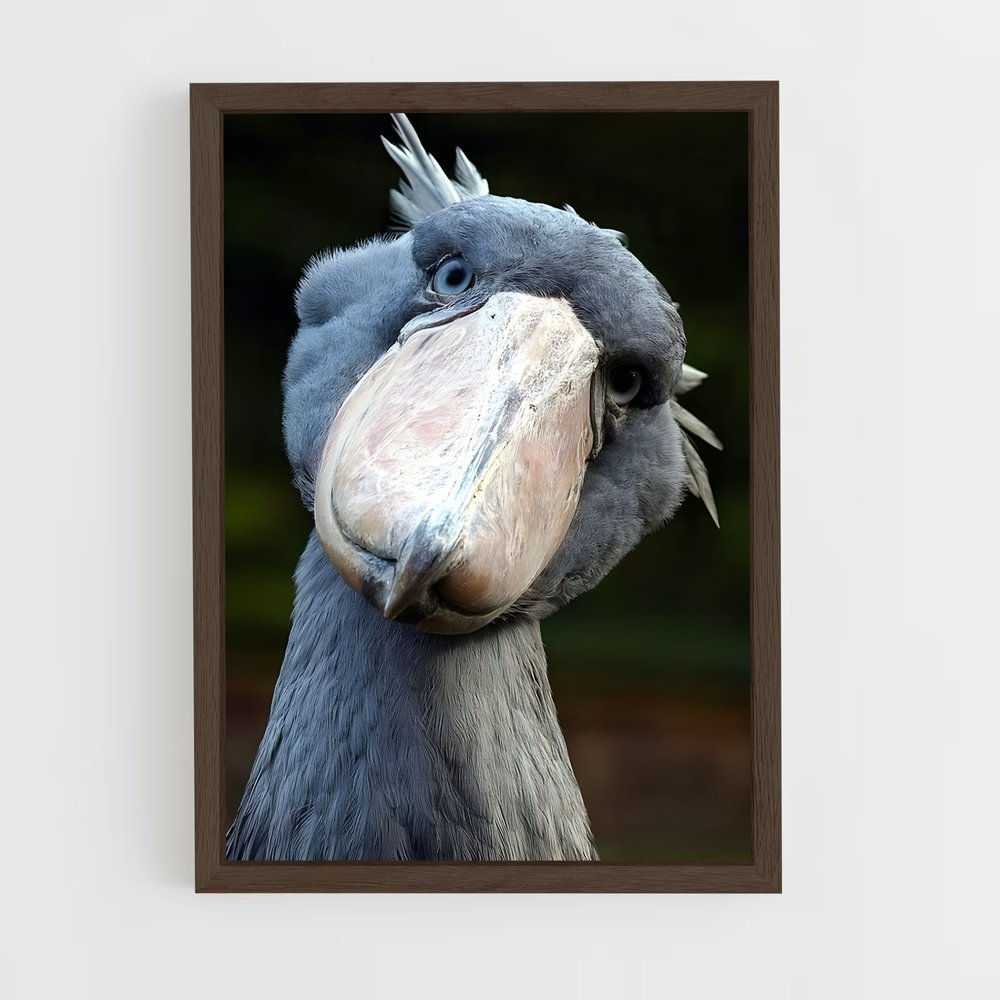 ap-stork-5 cadre Bois foncé