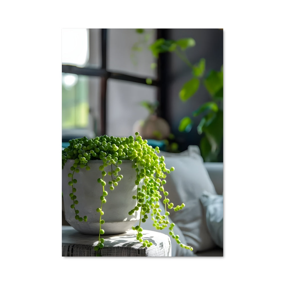 Poster Pois en Fête