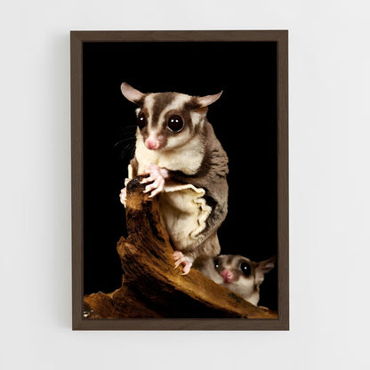 ap-sugar glider-1 cadre Bois foncé