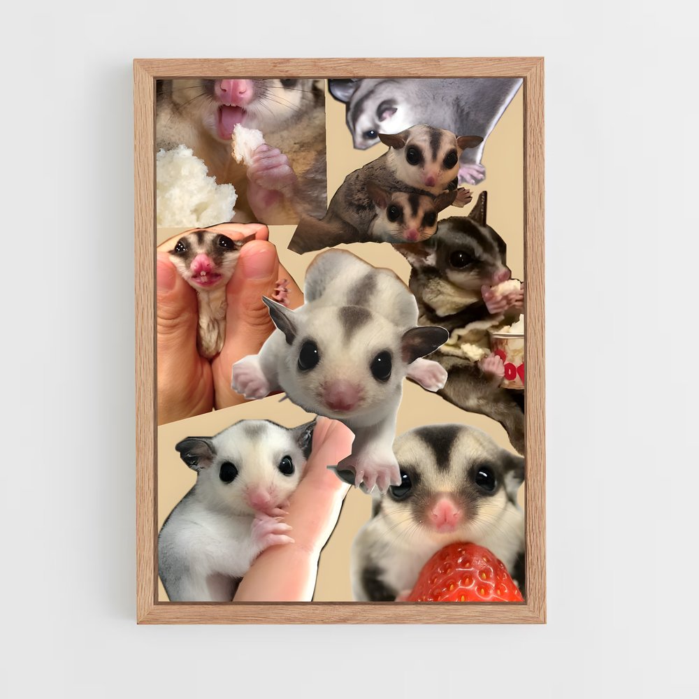 ap-sugar glider-3 cadre Bois clair