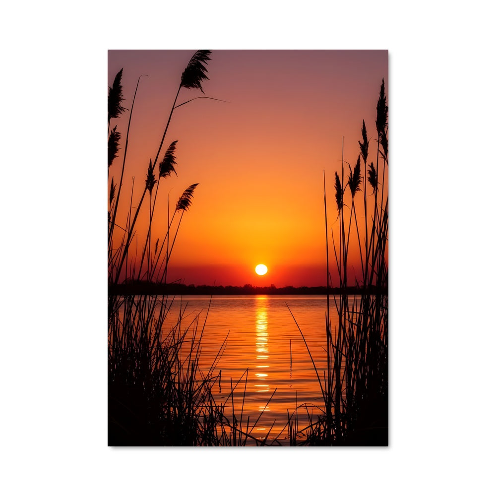 Poster Sunrise 97818