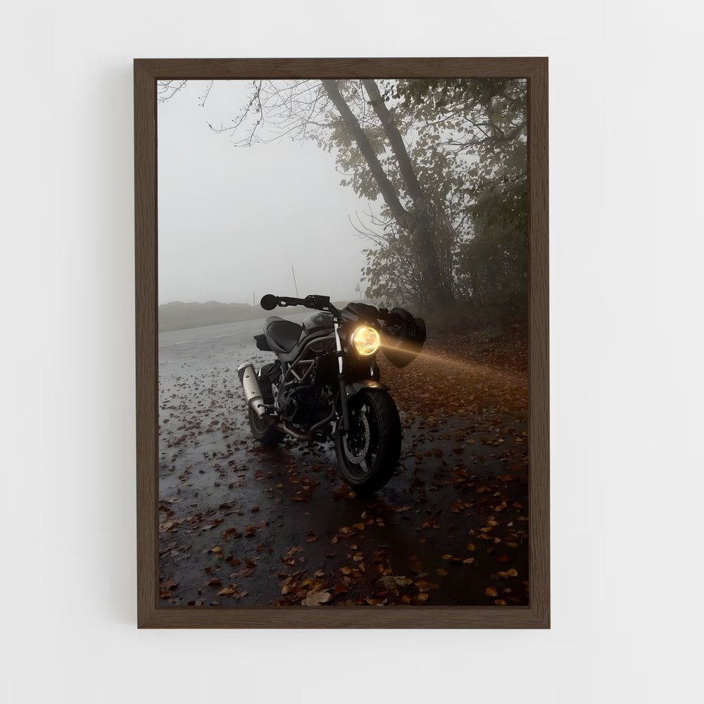 ap-sv650-2 cadre Bois foncé