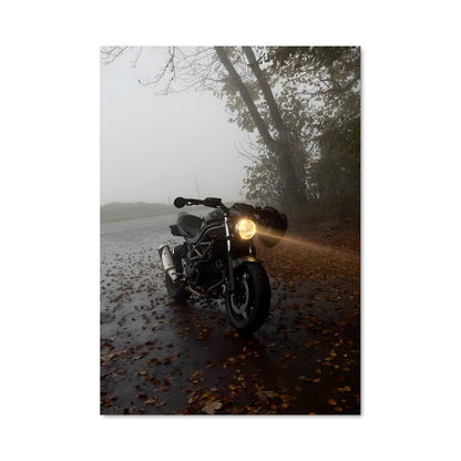 Poster Sv650 82755