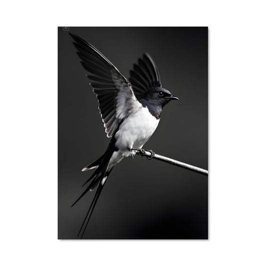 Poster Swallow 84467