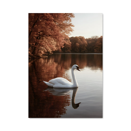 Poster Swan 84463