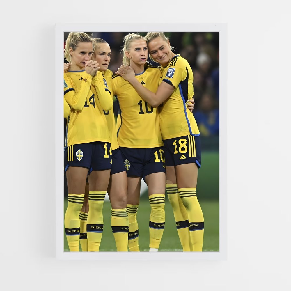 ap-sweden national football team-7 cadre Blanc