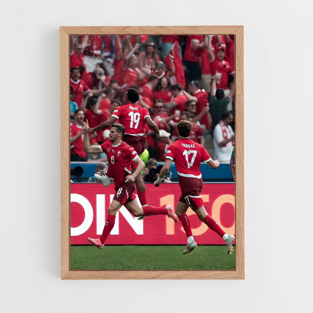 ap-switzerland national football team-2 cadre Bois clair