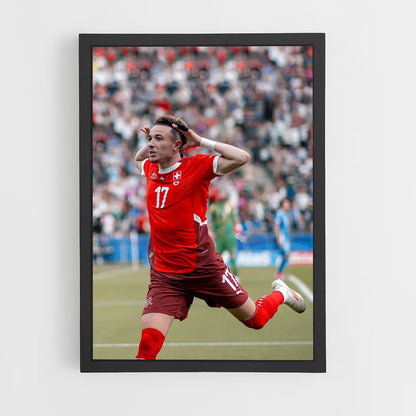 ap-switzerland national football team-4 cadre Noir