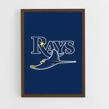 ap-tampa bay rays-1 cadre Bois foncé