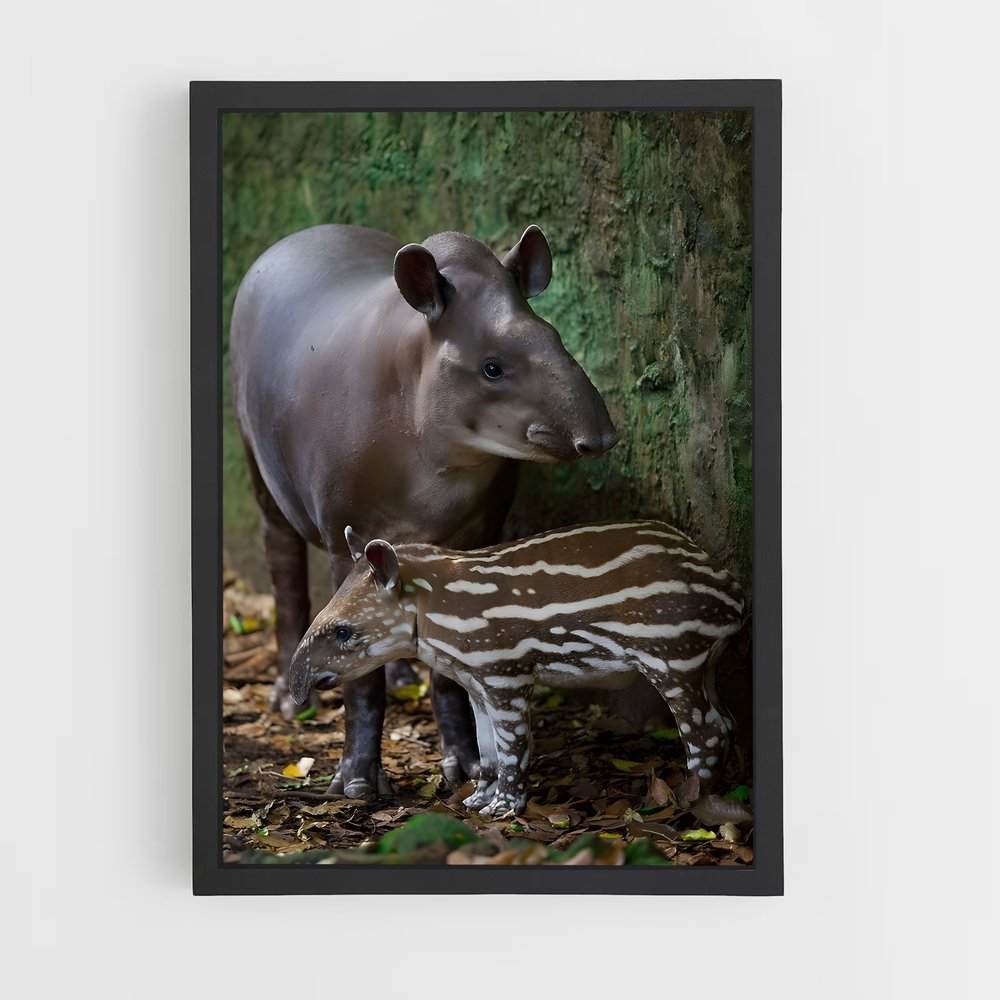 ap-tapir-1 cadre Noir
