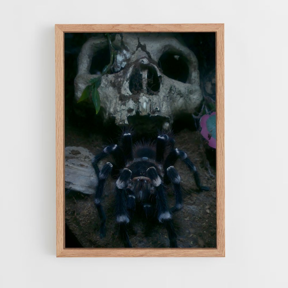 ap-tarantula-1 cadre Bois clair