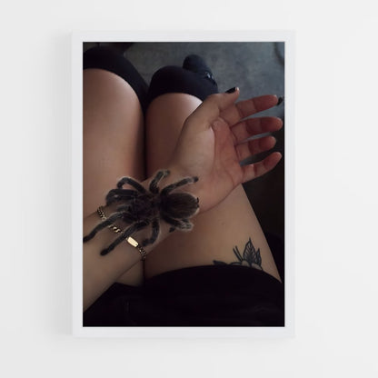 ap-tarantula-2 cadre Blanc