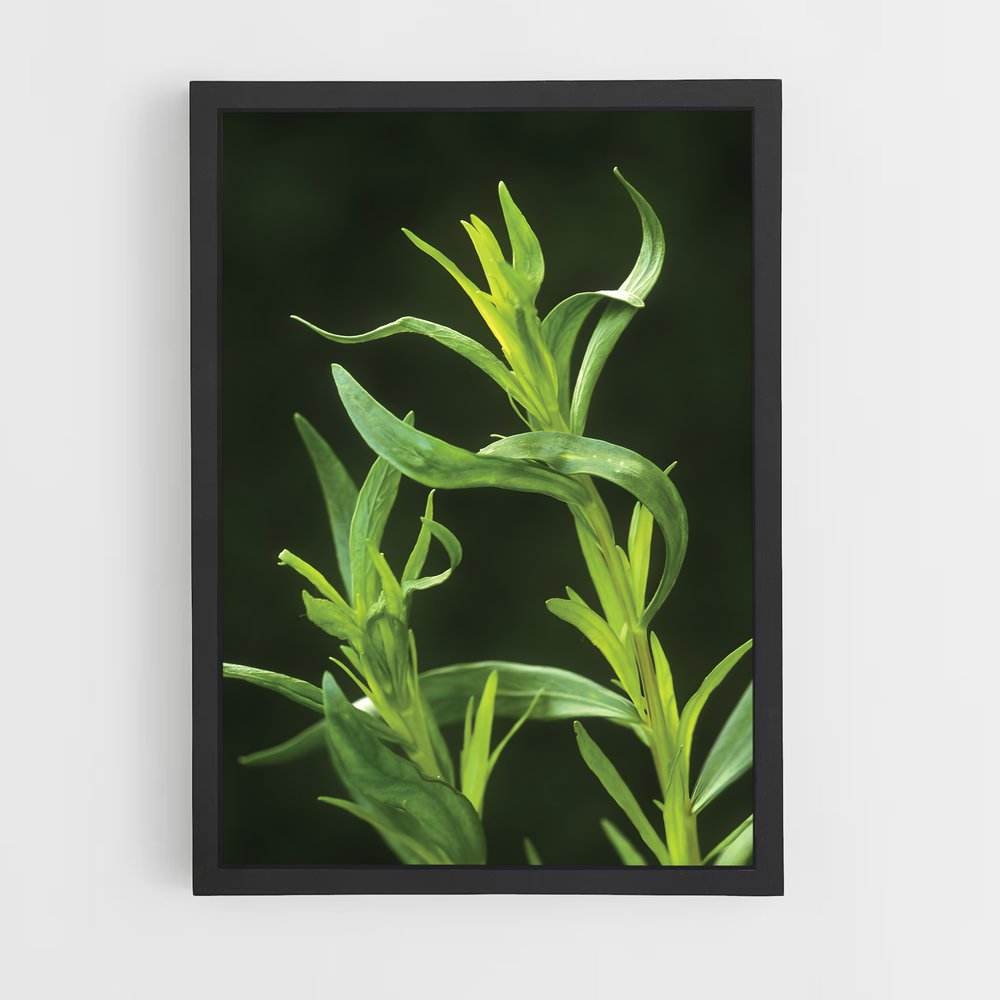 ap-tarragon-1 cadre Noir
