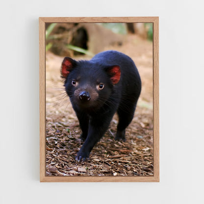 ap-tasmanian devil-2 cadre Bois clair