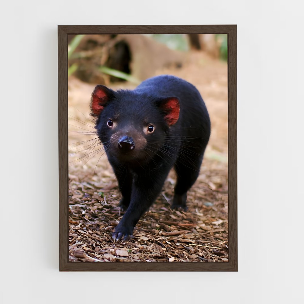 ap-tasmanian devil-2 cadre Bois foncé