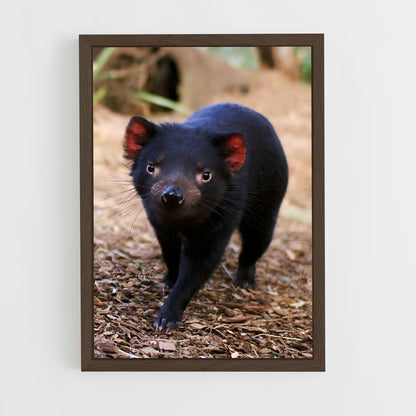 ap-tasmanian devil-2 cadre Bois foncé