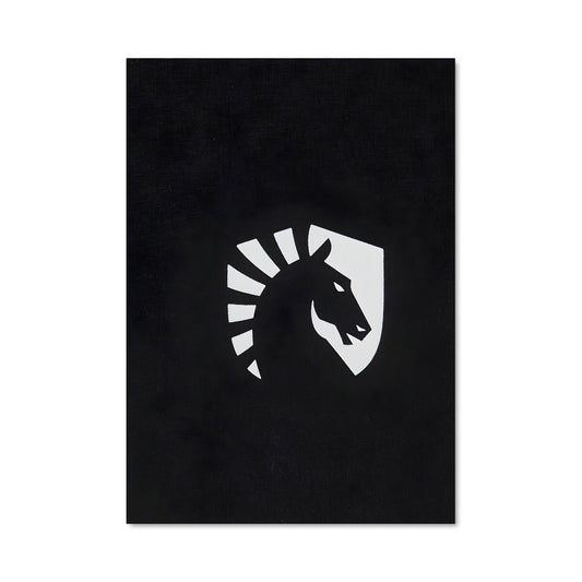 Poster Team liquid 41460