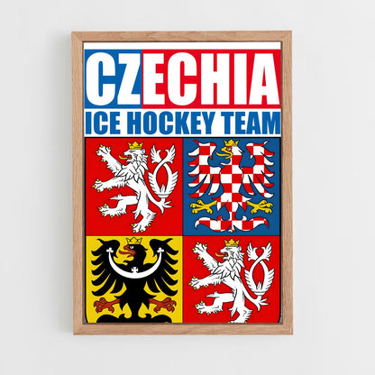 ap-team czech republic hockey-1 cadre Bois clair