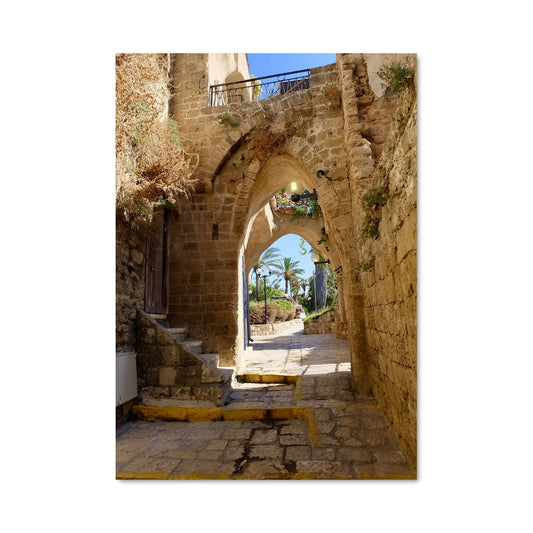 Poster Sous l'Arche des Palmiers