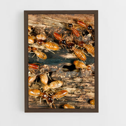 ap-termite-2 cadre Bois foncé