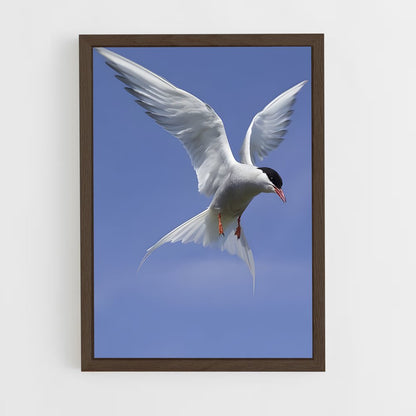 ap-tern-2 cadre Bois foncé