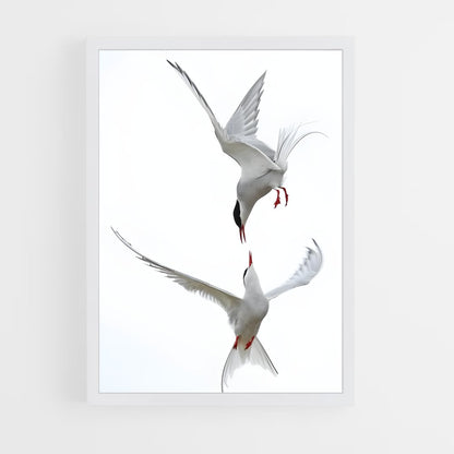 ap-tern-5 cadre Blanc