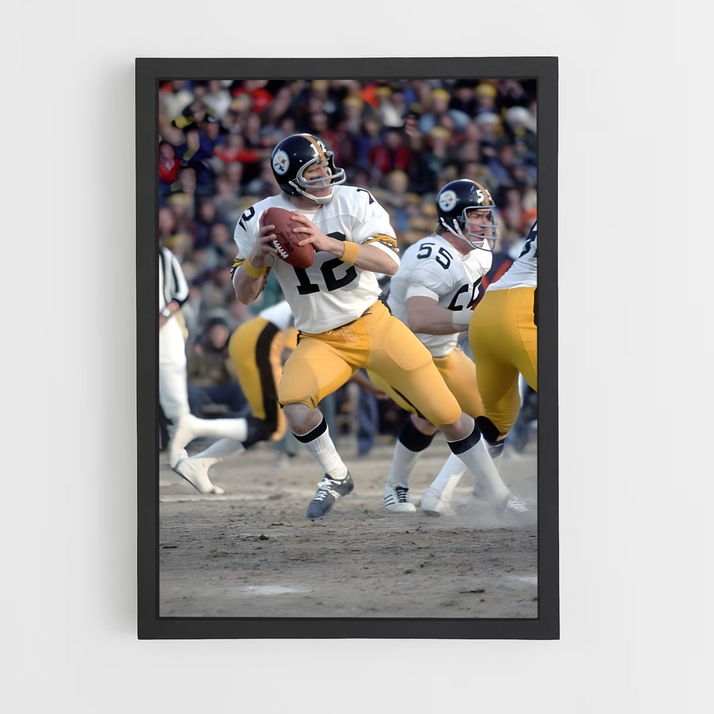 ap-terry bradshaw-4 cadre Noir