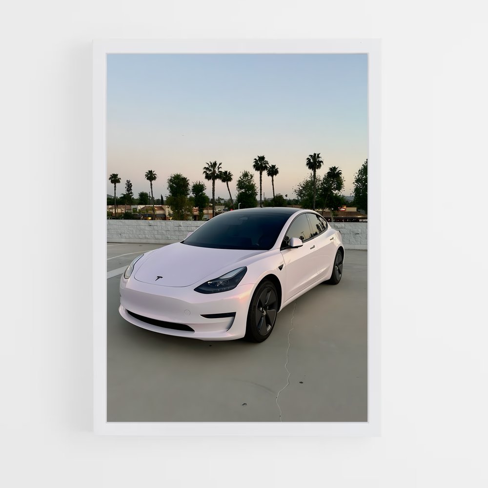 ap-tesla-1 cadre Blanc