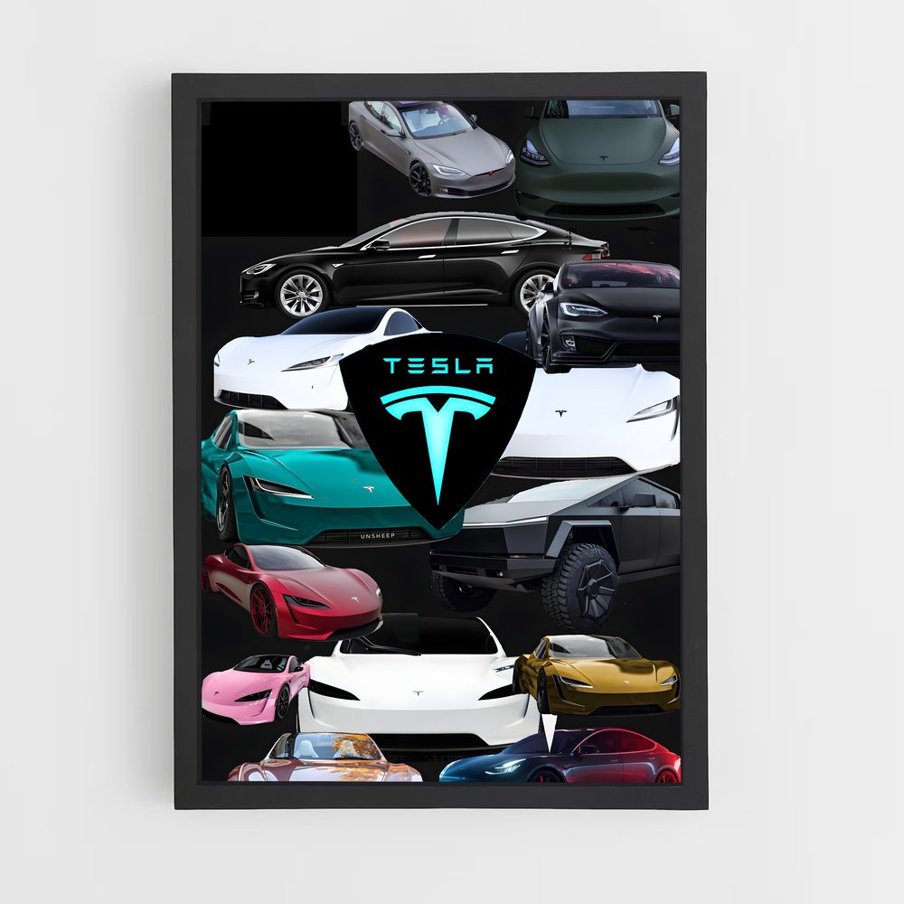 ap-tesla-2 cadre Noir