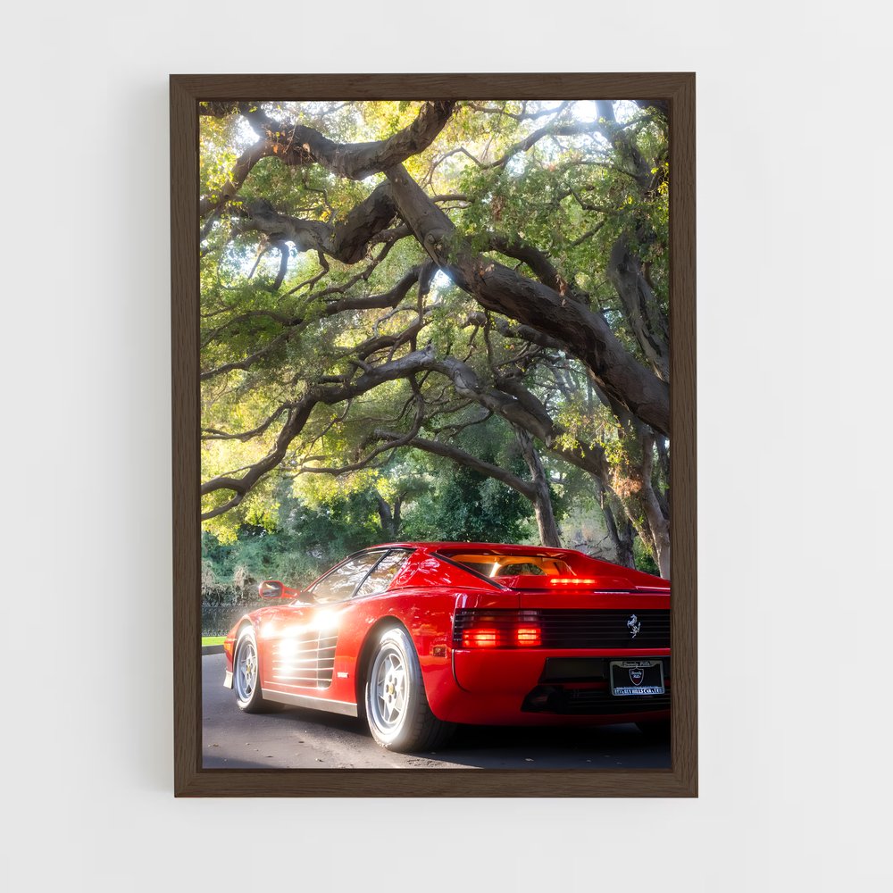 ap-testarossa-1 cadre Bois foncé