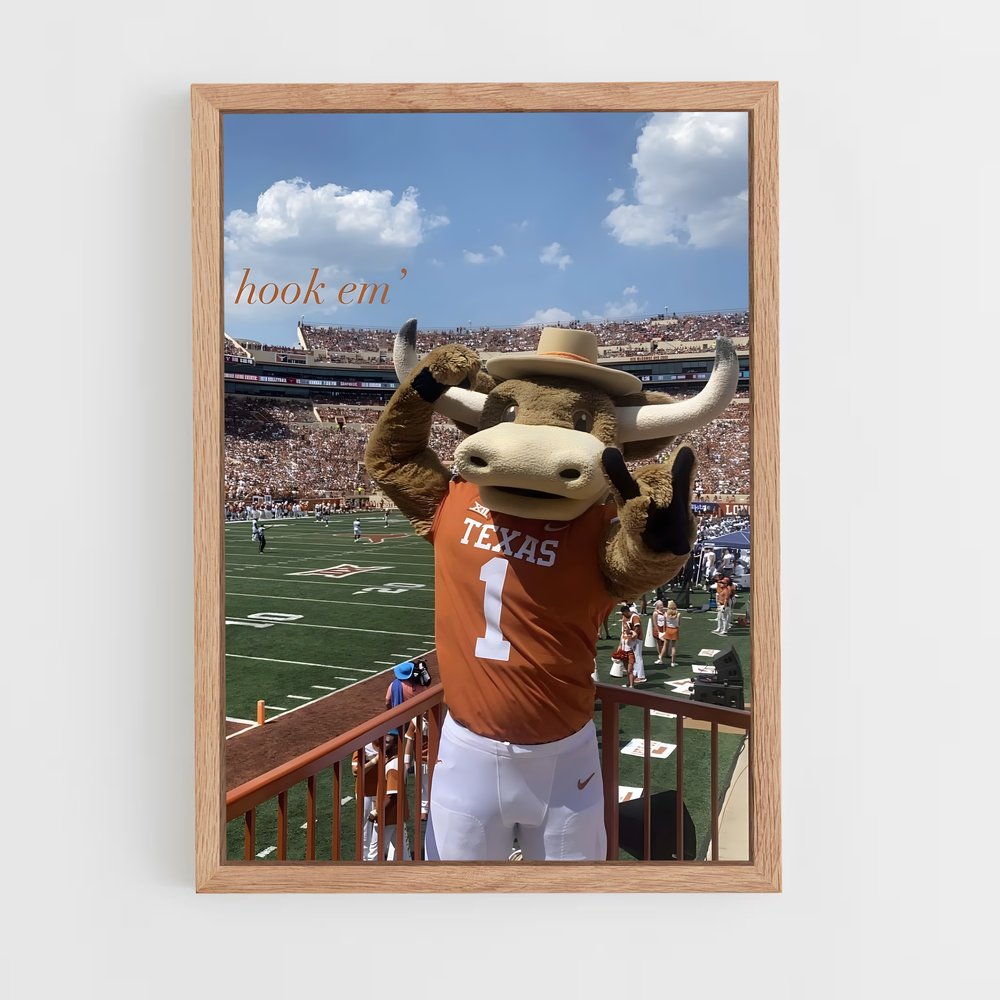 ap-texas longhorns-2 cadre Bois clair