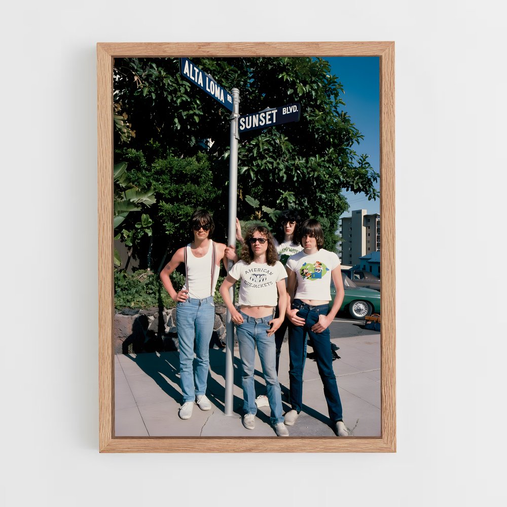 ap-the ramones-3 cadre Bois clair