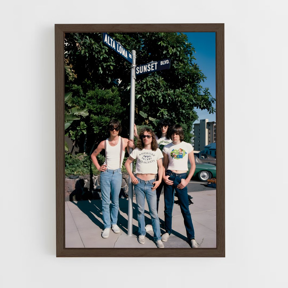 ap-the ramones-3 cadre Bois foncé