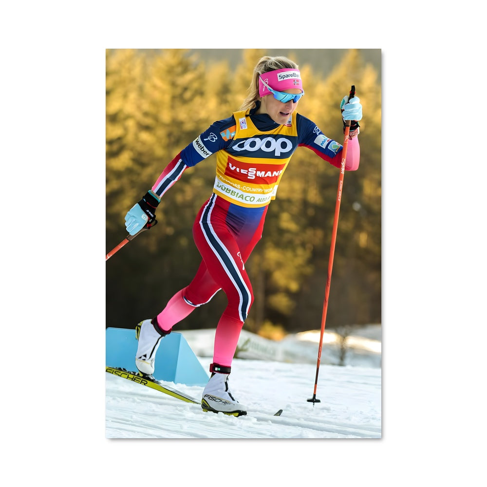 Poster Ski en Liberté