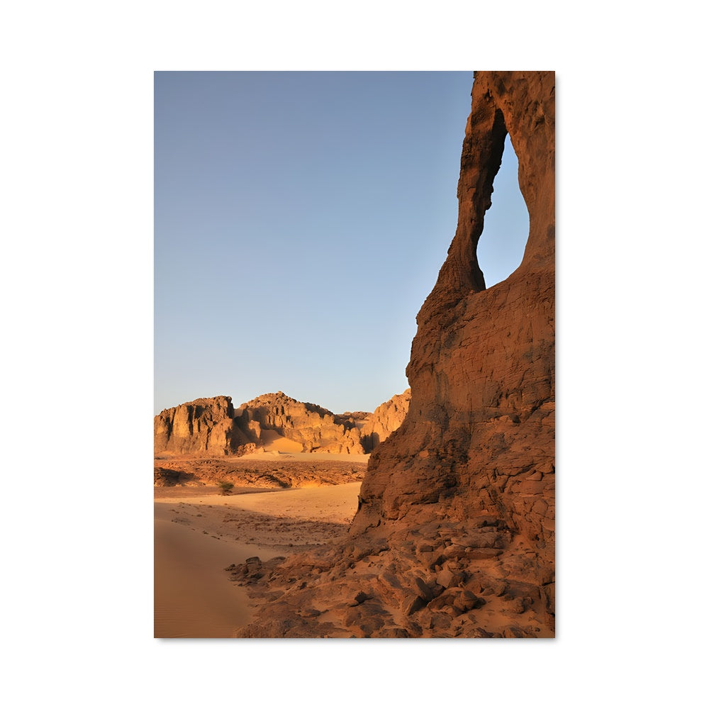 Poster Oasis de Wadia