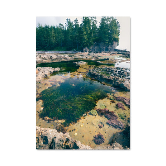 Poster Reflet Côtier