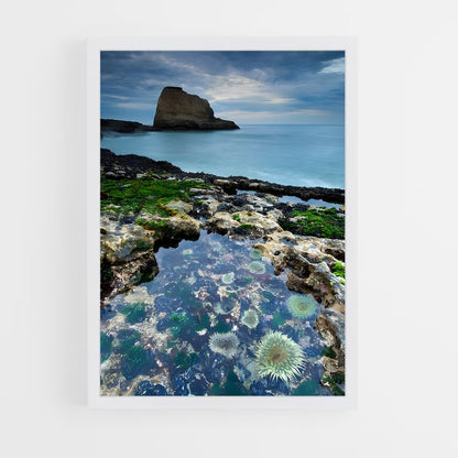 ap-tide pool-7 cadre Blanc