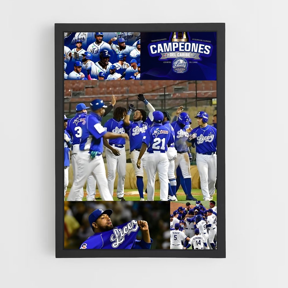 ap-tigres del licey-1 cadre Noir