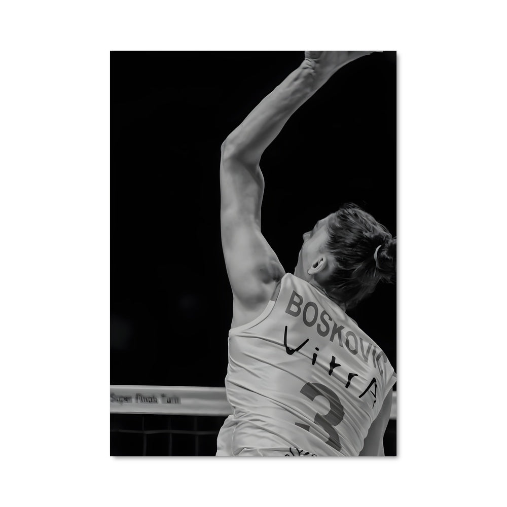 Poster Tijana boskovic 75032