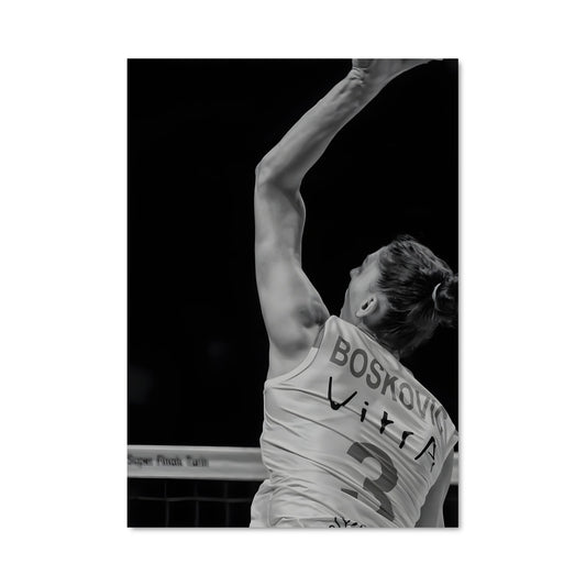 Poster Tijana boskovic 75032