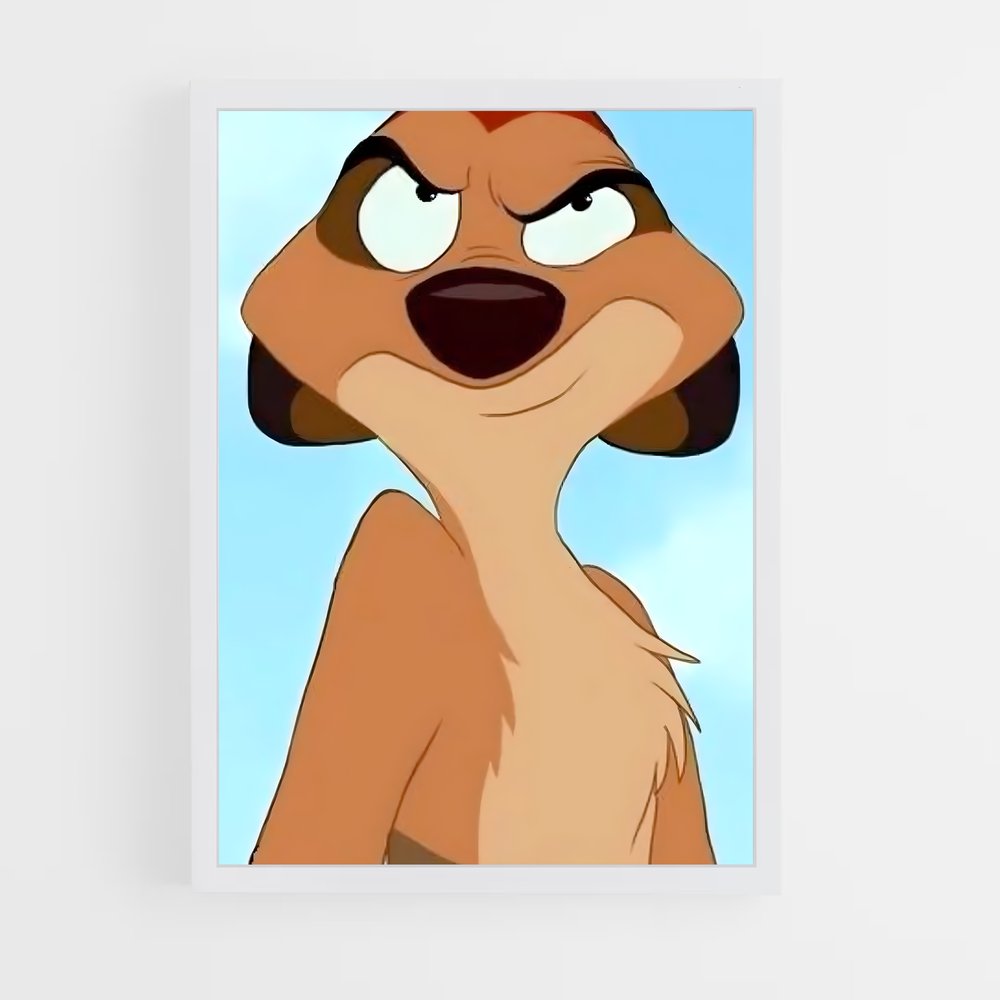 ap-timon-3 cadre Blanc