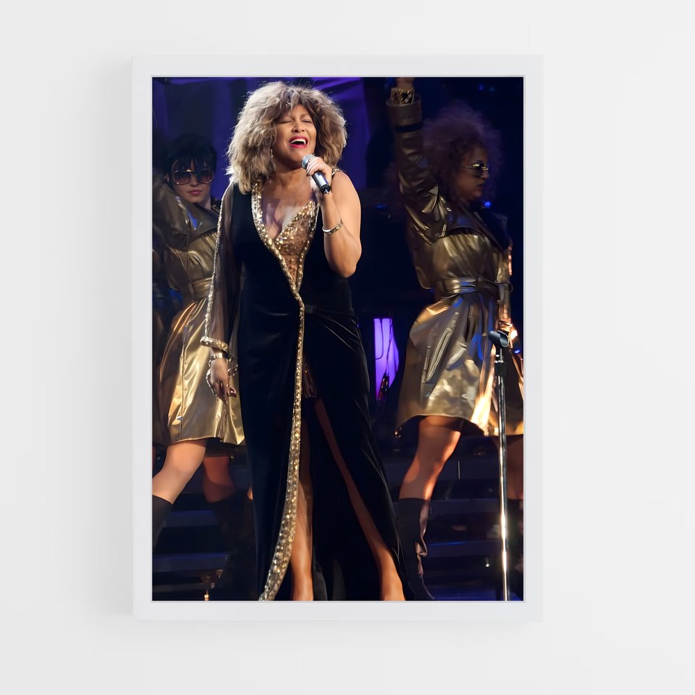 ap-tina turner-3 cadre Blanc