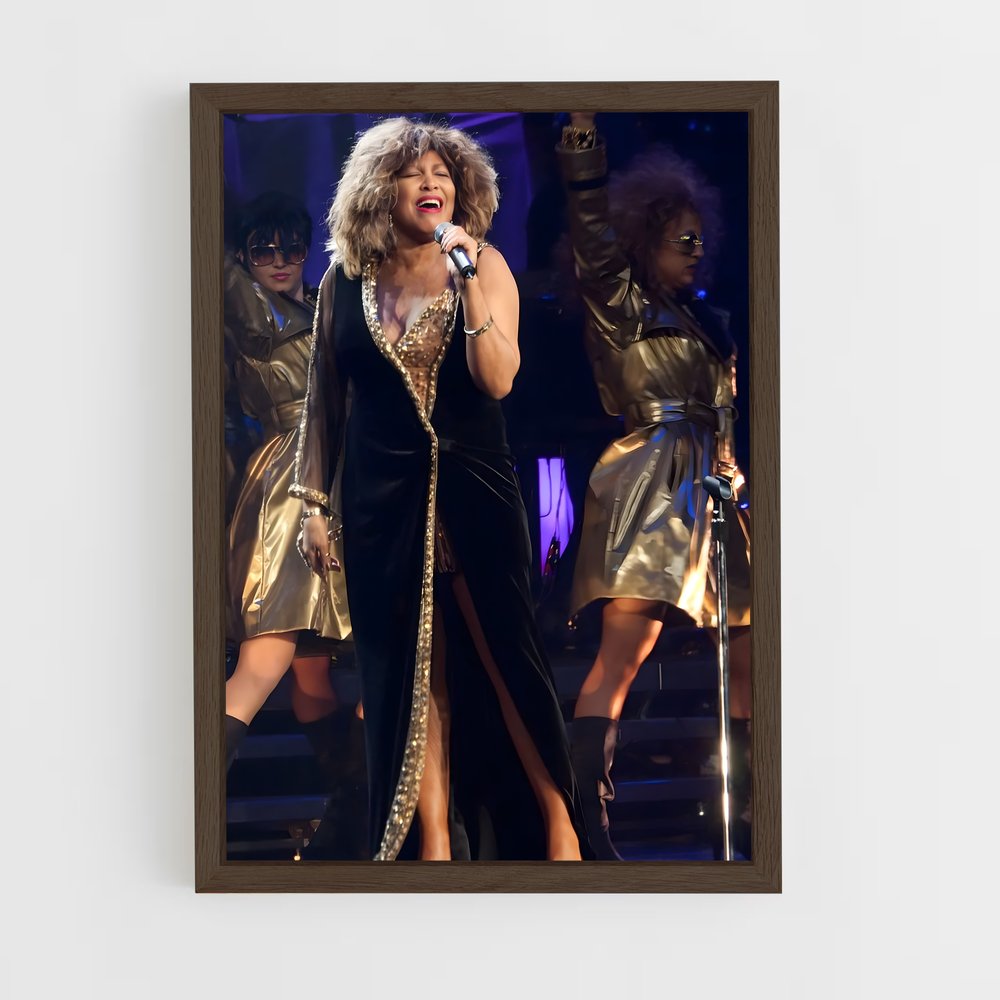 ap-tina turner-3 cadre Bois foncé