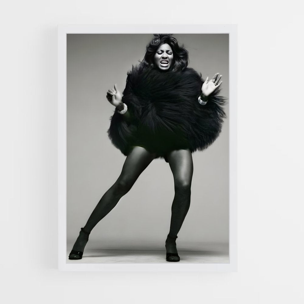 ap-tina turner-4 cadre Blanc